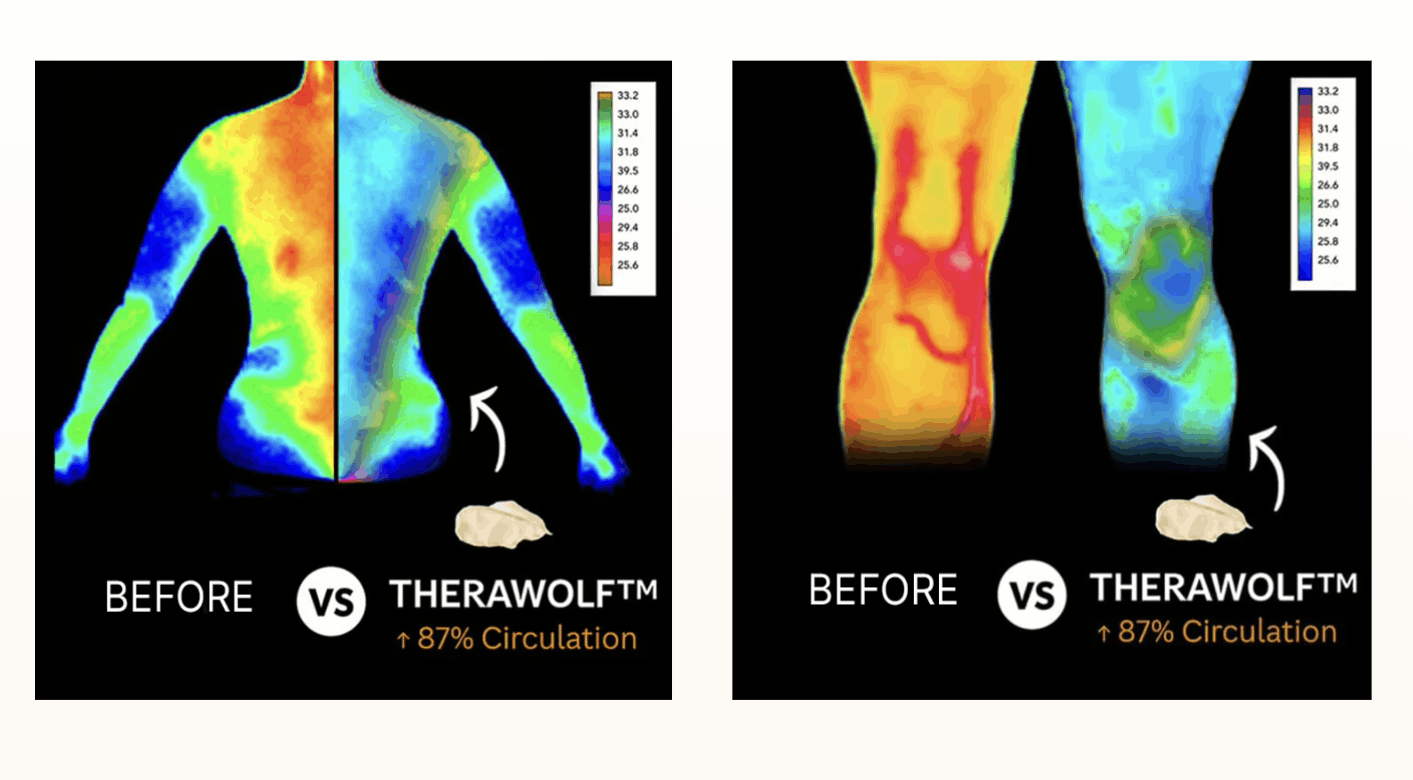 TheraWolf Pain Neuro Relief Balm